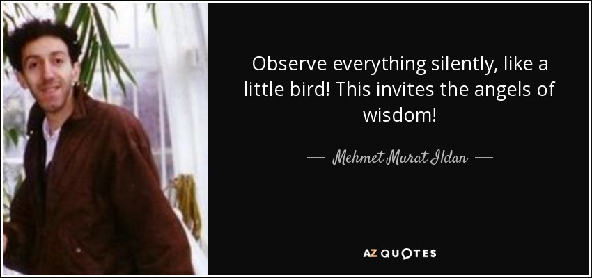 Observe everything silently, like a little bird! This invites the angels of wisdom! - Mehmet Murat Ildan