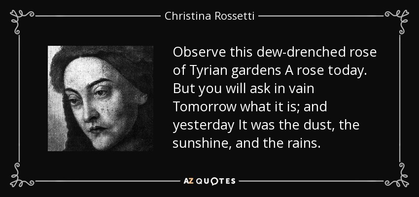 Observe this dew-drenched rose of Tyrian gardens A rose today. But you will ask in vain Tomorrow what it is; and yesterday It was the dust, the sunshine, and the rains. - Christina Rossetti