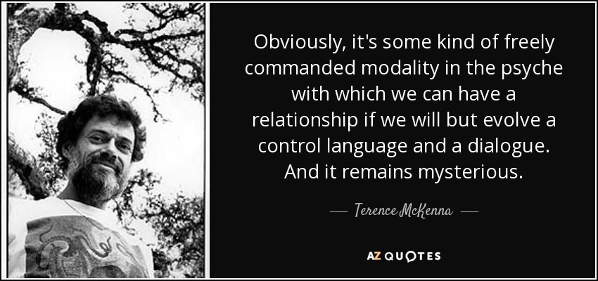 Obviously, it's some kind of freely commanded modality in the psyche with which we can have a relationship if we will but evolve a control language and a dialogue. And it remains mysterious. - Terence McKenna