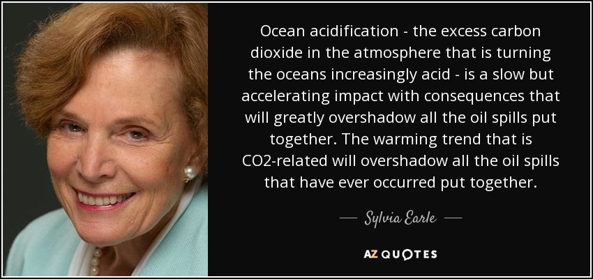 Ocean acidification - the excess carbon dioxide in the atmosphere that is turning the oceans increasingly acid - is a slow but accelerating impact with consequences that will greatly overshadow all the oil spills put together. The warming trend that is CO2-related will overshadow all the oil spills that have ever occurred put together. - Sylvia Earle
