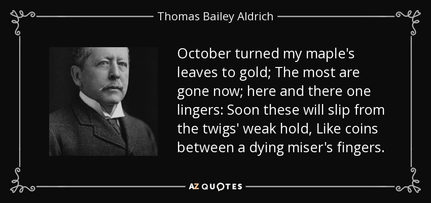 October turned my maple's leaves to gold; The most are gone now; here and there one lingers: Soon these will slip from the twigs' weak hold, Like coins between a dying miser's fingers. - Thomas Bailey Aldrich