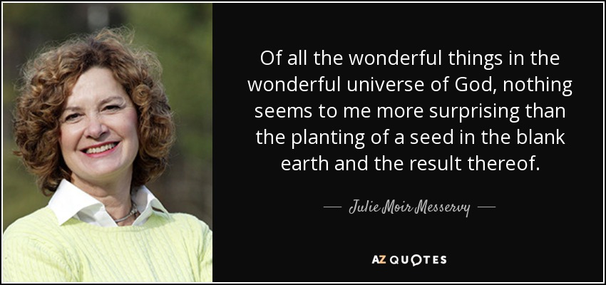 Of all the wonderful things in the wonderful universe of God, nothing seems to me more surprising than the planting of a seed in the blank earth and the result thereof. - Julie Moir Messervy