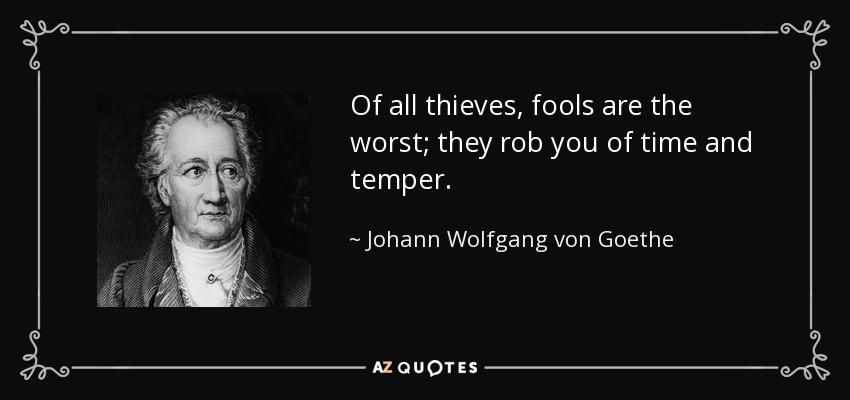 Of all thieves, fools are the worst; they rob you of time and temper. - Johann Wolfgang von Goethe