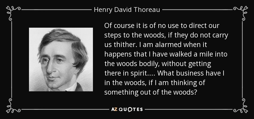 Of course it is of no use to direct our steps to the woods, if they do not carry us thither. I am alarmed when it happens that I have walked a mile into the woods bodily, without getting there in spirit.... What business have I in the woods, if I am thinking of something out of the woods? - Henry David Thoreau