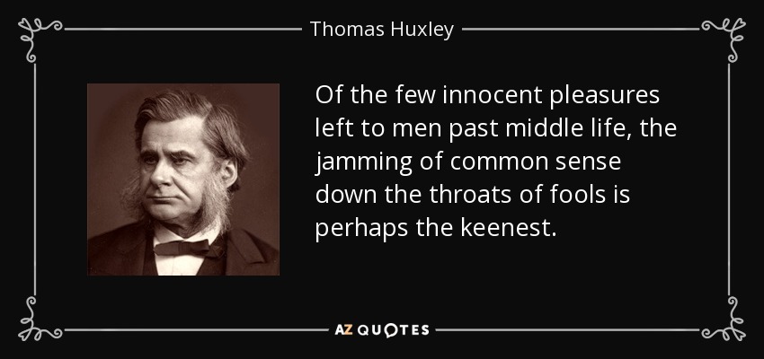 Of the few innocent pleasures left to men past middle life, the jamming of common sense down the throats of fools is perhaps the keenest. - Thomas Huxley