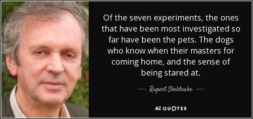 Of the seven experiments, the ones that have been most investigated so far have been the pets. The dogs who know when their masters for coming home, and the sense of being stared at. - Rupert Sheldrake