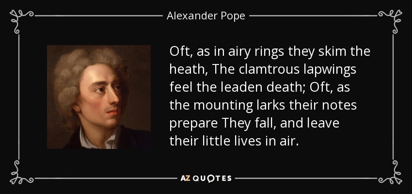 Oft, as in airy rings they skim the heath, The clamtrous lapwings feel the leaden death; Oft, as the mounting larks their notes prepare They fall, and leave their little lives in air. - Alexander Pope