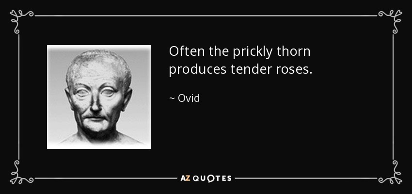 Often the prickly thorn produces tender roses. - Ovid
