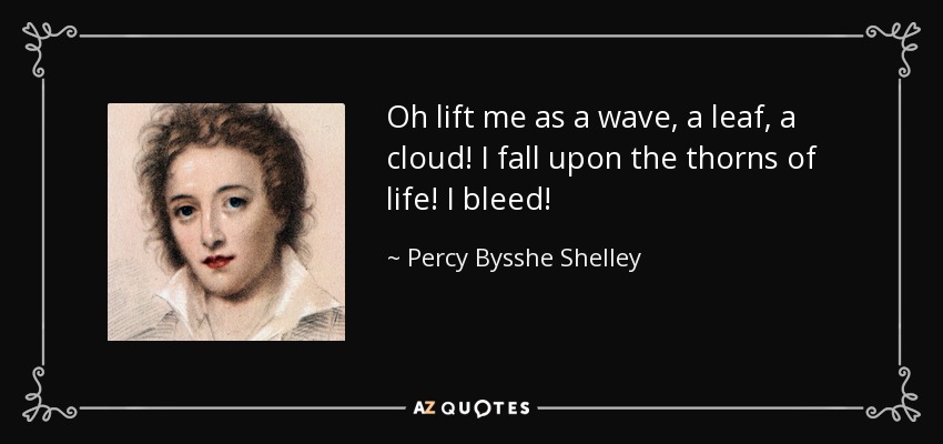 Oh lift me as a wave, a leaf, a cloud! I fall upon the thorns of life! I bleed! - Percy Bysshe Shelley