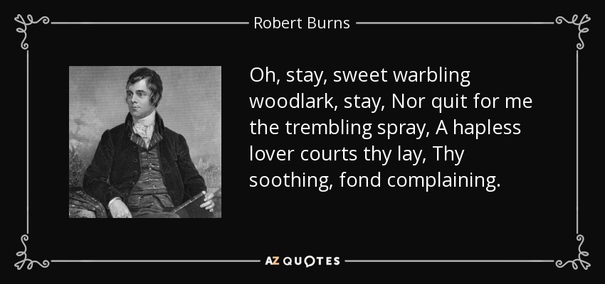 Oh, stay, sweet warbling woodlark, stay, Nor quit for me the trembling spray, A hapless lover courts thy lay, Thy soothing, fond complaining. - Robert Burns