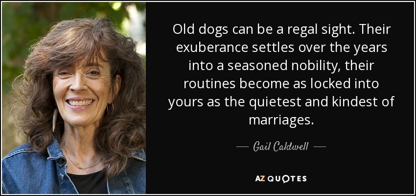 Old dogs can be a regal sight. Their exuberance settles over the years into a seasoned nobility, their routines become as locked into yours as the quietest and kindest of marriages. - Gail Caldwell