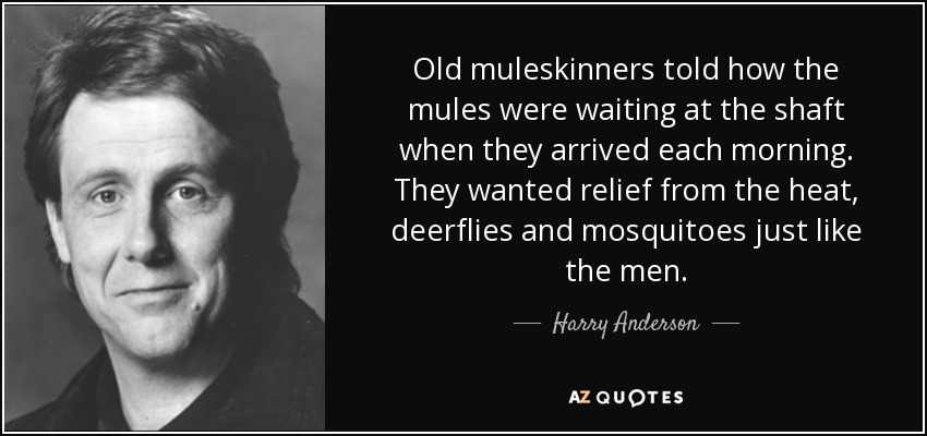 Old muleskinners told how the mules were waiting at the shaft when they arrived each morning. They wanted relief from the heat, deerflies and mosquitoes just like the men. - Harry Anderson
