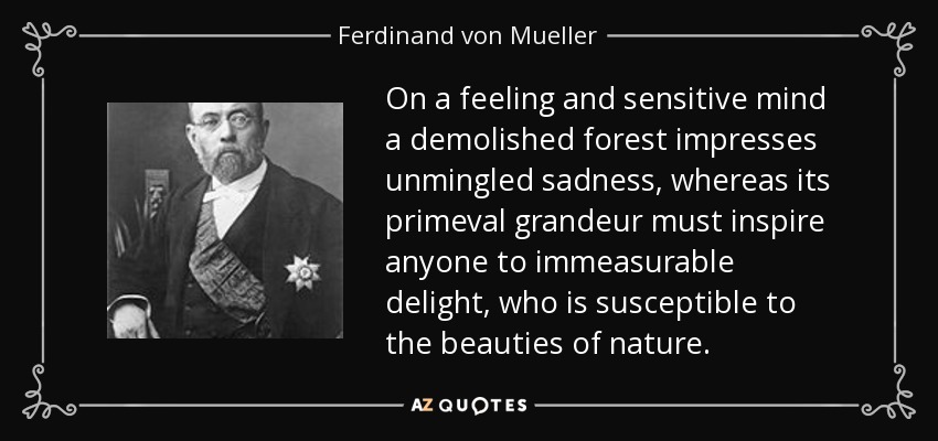 On a feeling and sensitive mind a demolished forest impresses unmingled sadness, whereas its primeval grandeur must inspire anyone to immeasurable delight, who is susceptible to the beauties of nature. - Ferdinand von Mueller