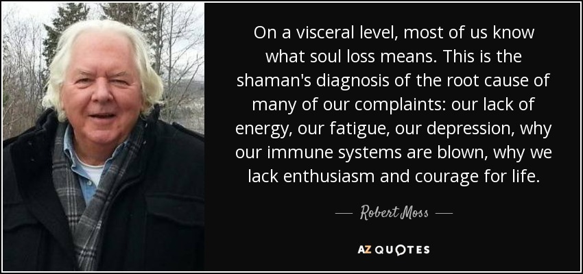 On a visceral level, most of us know what soul loss means. This is the shaman's diagnosis of the root cause of many of our complaints: our lack of energy, our fatigue, our depression, why our immune systems are blown, why we lack enthusiasm and courage for life. - Robert Moss