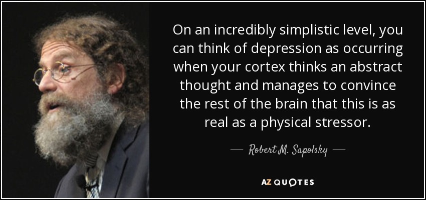 On an incredibly simplistic level, you can think of depression as occurring when your cortex thinks an abstract thought and manages to convince the rest of the brain that this is as real as a physical stressor. - Robert M. Sapolsky