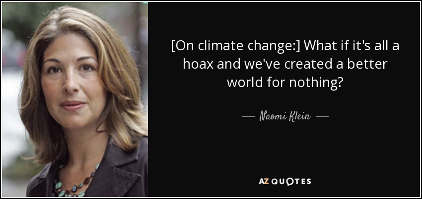 [On climate change:] What if it's all a hoax and we've created a better world for nothing? - Naomi Klein