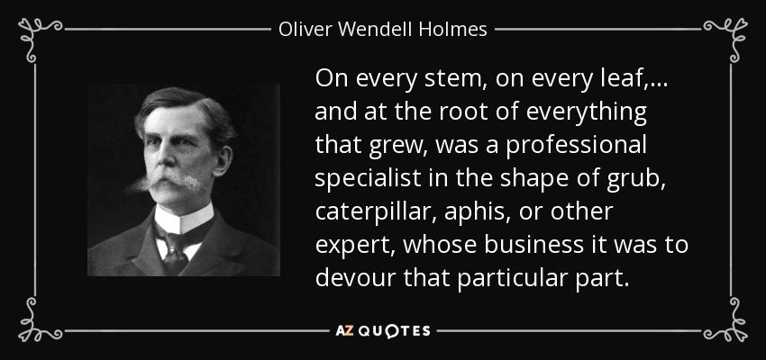 On every stem, on every leaf,... and at the root of everything that grew, was a professional specialist in the shape of grub, caterpillar, aphis, or other expert, whose business it was to devour that particular part. - Oliver Wendell Holmes, Jr.