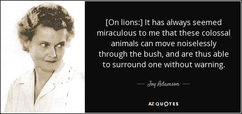 [On lions:] It has always seemed miraculous to me that these colossal animals can move noiselessly through the bush, and are thus able to surround one without warning. - Joy Adamson