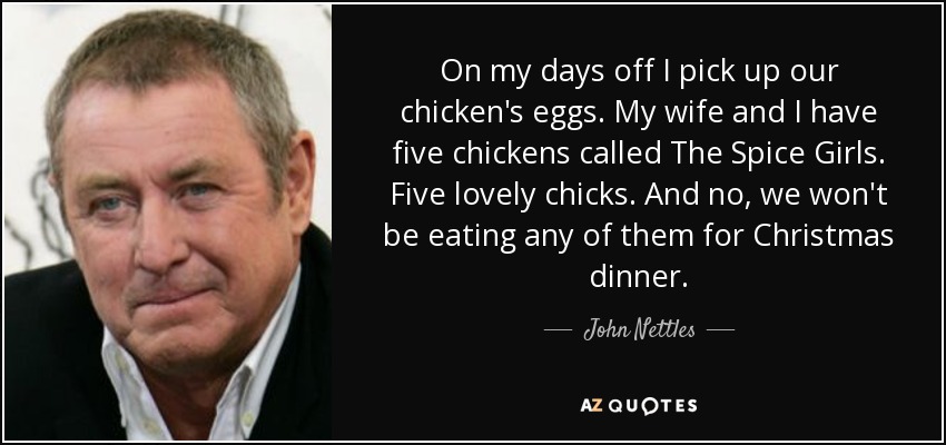 On my days off I pick up our chicken's eggs. My wife and I have five chickens called The Spice Girls. Five lovely chicks. And no, we won't be eating any of them for Christmas dinner. - John Nettles