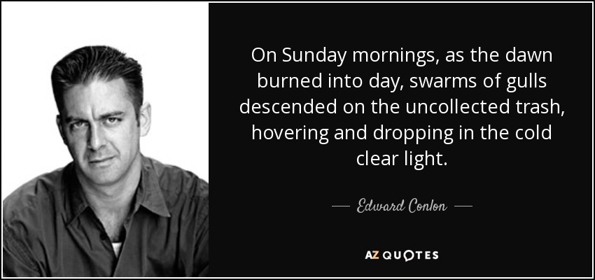On Sunday mornings, as the dawn burned into day, swarms of gulls descended on the uncollected trash, hovering and dropping in the cold clear light. - Edward Conlon