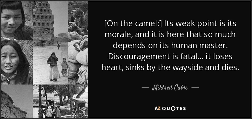 [On the camel:] Its weak point is its morale, and it is here that so much depends on its human master. Discouragement is fatal ... it loses heart, sinks by the wayside and dies. - Mildred Cable