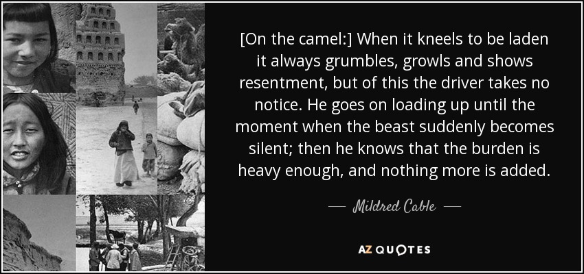 [On the camel:] When it kneels to be laden it always grumbles, growls and shows resentment, but of this the driver takes no notice. He goes on loading up until the moment when the beast suddenly becomes silent; then he knows that the burden is heavy enough, and nothing more is added. - Mildred Cable