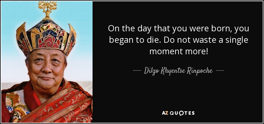 On the day that you were born, you began to die. Do not waste a single moment more! - Dilgo Khyentse Rinpoche