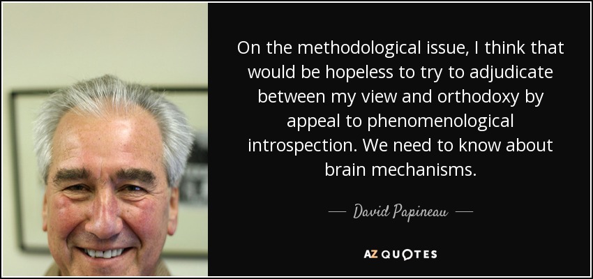 On the methodological issue, I think that would be hopeless to try to adjudicate between my view and orthodoxy by appeal to phenomenological introspection. We need to know about brain mechanisms. - David Papineau