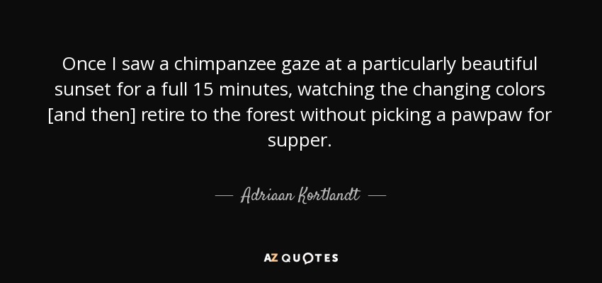 Once I saw a chimpanzee gaze at a particularly beautiful sunset for a full 15 minutes, watching the changing colors [and then] retire to the forest without picking a pawpaw for supper. - Adriaan Kortlandt
