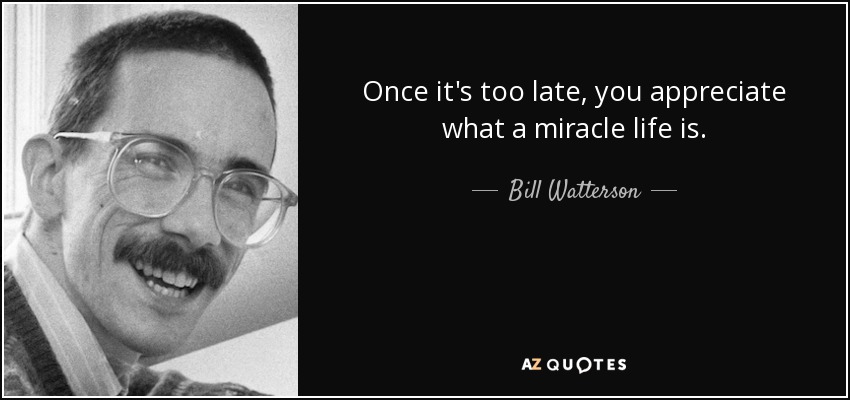 Once it's too late, you appreciate what a miracle life is. - Bill Watterson