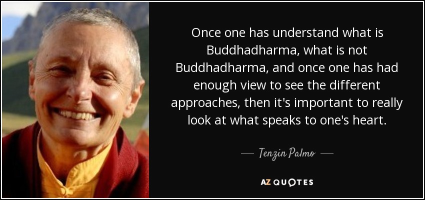 Once one has understand what is Buddhadharma, what is not Buddhadharma, and once one has had enough view to see the different approaches, then it's important to really look at what speaks to one's heart. - Tenzin Palmo