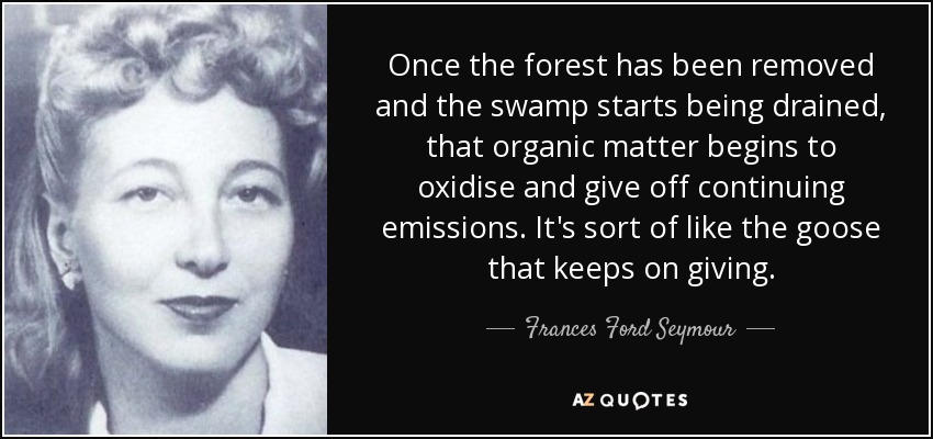Once the forest has been removed and the swamp starts being drained, that organic matter begins to oxidise and give off continuing emissions. It's sort of like the goose that keeps on giving. - Frances Ford Seymour