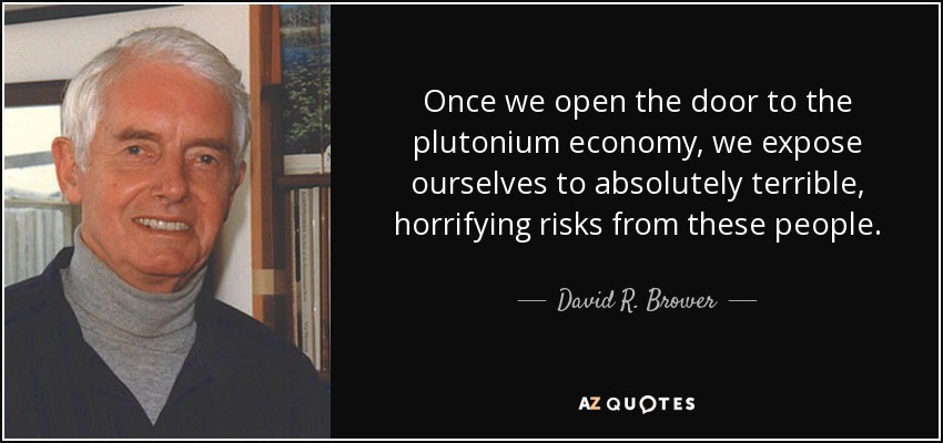 Once we open the door to the plutonium economy, we expose ourselves to absolutely terrible, horrifying risks from these people. - David R. Brower