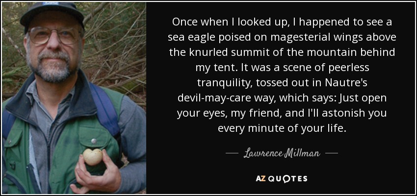 Once when I looked up, I happened to see a sea eagle poised on magesterial wings above the knurled summit of the mountain behind my tent. It was a scene of peerless tranquility, tossed out in Nautre's devil-may-care way, which says: Just open your eyes, my friend, and I'll astonish you every minute of your life. - Lawrence Millman