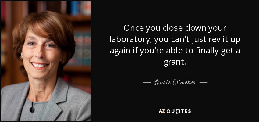 Once you close down your laboratory, you can't just rev it up again if you're able to finally get a grant. - Laurie Glimcher