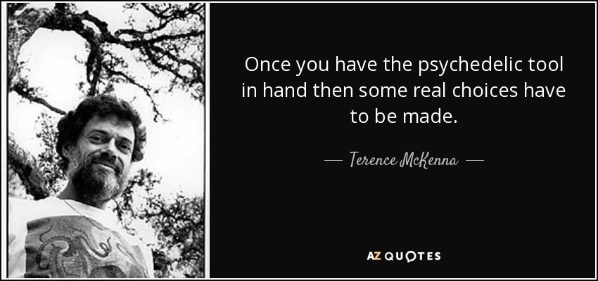 Once you have the psychedelic tool in hand then some real choices have to be made. - Terence McKenna