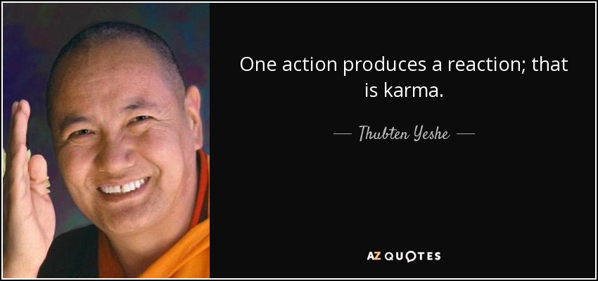 One action produces a reaction; that is karma. - Thubten Yeshe