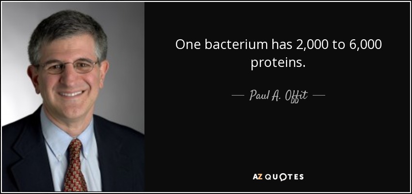 One bacterium has 2,000 to 6,000 proteins. - Paul A. Offit