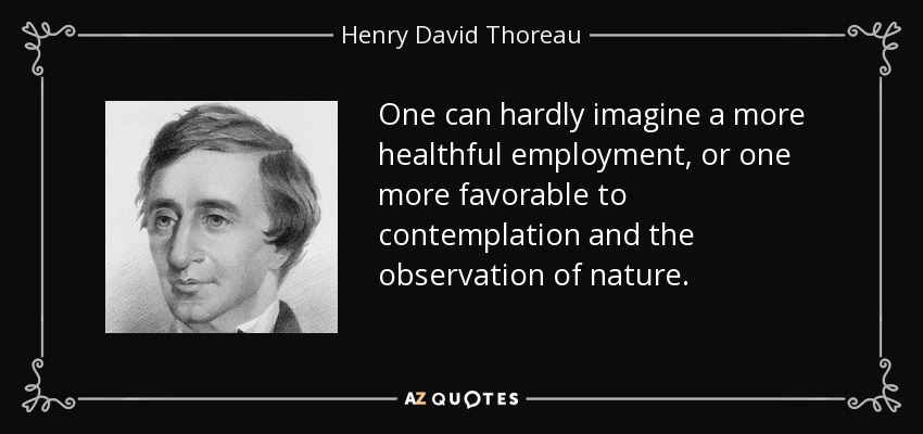 One can hardly imagine a more healthful employment, or one more favorable to contemplation and the observation of nature. - Henry David Thoreau