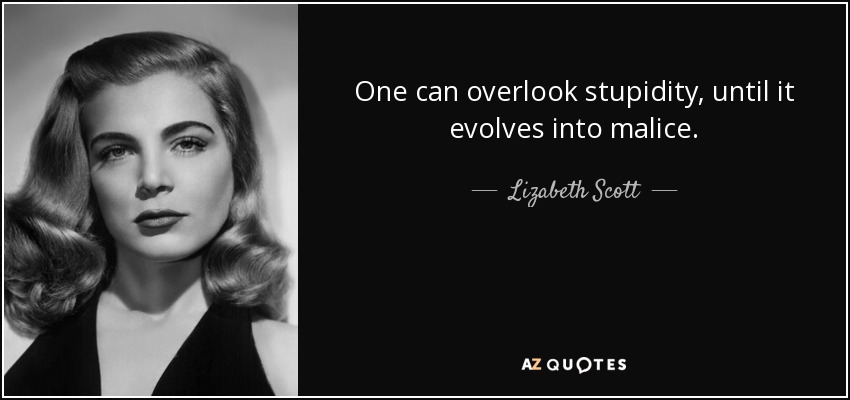 One can overlook stupidity, until it evolves into malice. - Lizabeth Scott