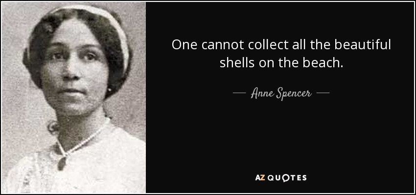 One cannot collect all the beautiful shells on the beach. - Anne Spencer