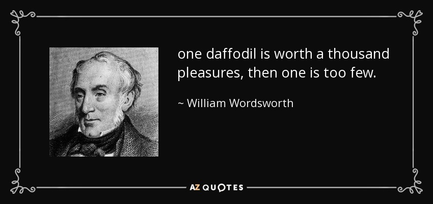 one daffodil is worth a thousand pleasures, then one is 	too few. - William Wordsworth