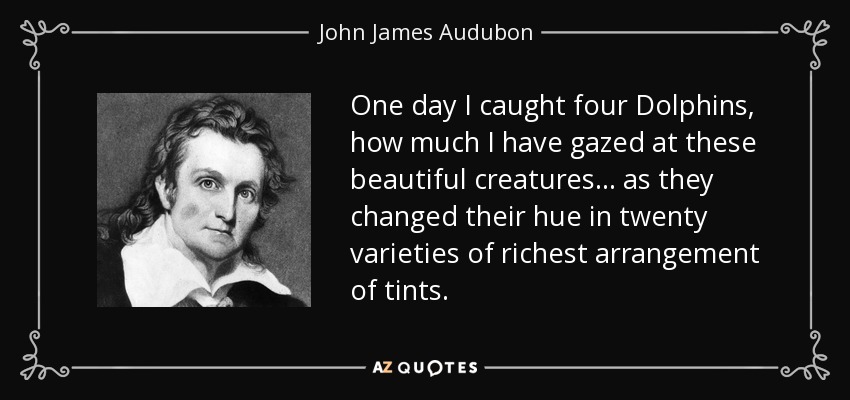 One day I caught four Dolphins, how much I have gazed at these beautiful creatures... as they changed their hue in twenty varieties of richest arrangement of tints. - John James Audubon
