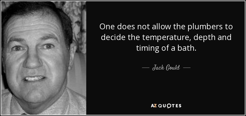 One does not allow the plumbers to decide the temperature, depth and timing of a bath. - Jack Gould