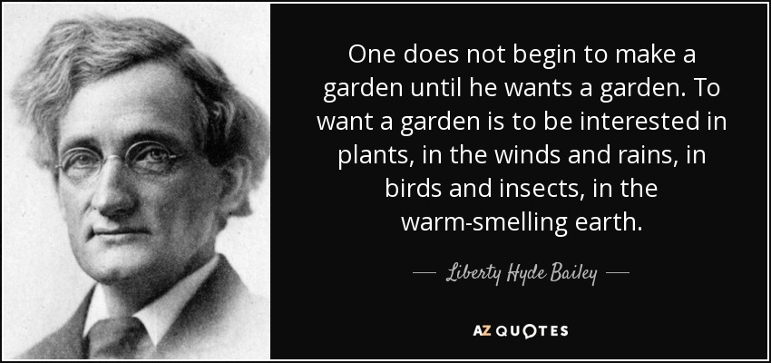 One does not begin to make a garden until he wants a garden. To want a garden is to be interested in plants, in the winds and rains, in birds and insects, in the warm-smelling earth. - Liberty Hyde Bailey