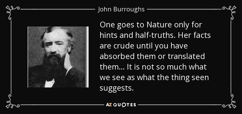One goes to Nature only for hints and half-truths. Her facts are crude until you have absorbed them or translated them ... It is not so much what we see as what the thing seen suggests. - John Burroughs