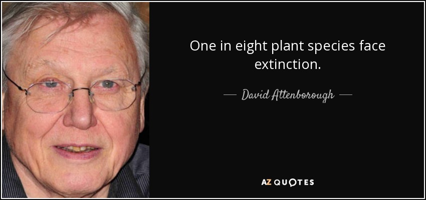 One in eight plant species face extinction. - David Attenborough
