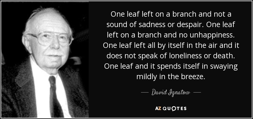 One leaf left on a branch and not a sound of sadness or despair. One leaf left on a branch and no unhappiness. One leaf left all by itself in the air and it does not speak of loneliness or death. One leaf and it spends itself in swaying mildly in the breeze. - David Ignatow