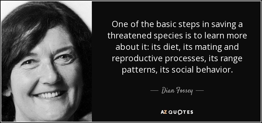 One of the basic steps in saving a threatened species is to learn more about it: its diet, its mating and reproductive processes, its range patterns, its social behavior. - Dian Fossey