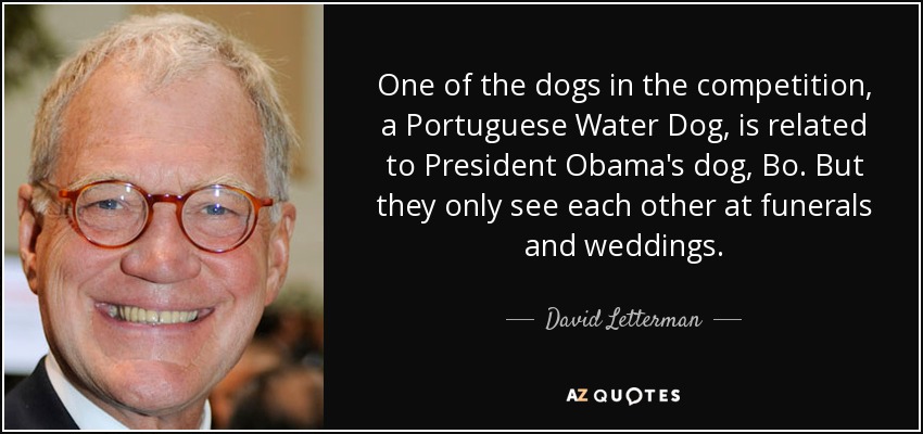One of the dogs in the competition, a Portuguese Water Dog, is related to President Obama's dog, Bo. But they only see each other at funerals and weddings. - David Letterman